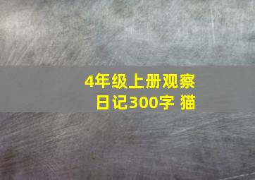 4年级上册观察日记300字 猫